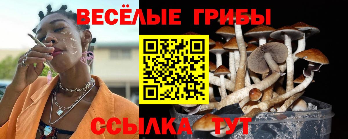 Псилоцибиновые грибы GOLDEN TEACHER Кемерово